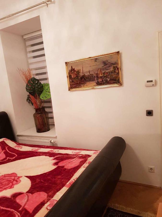 Vienna- Luxury Appartement المظهر الخارجي الصورة